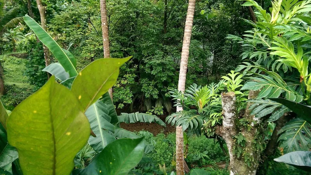 Feriehus River Side House Palmiste Saint Lucia