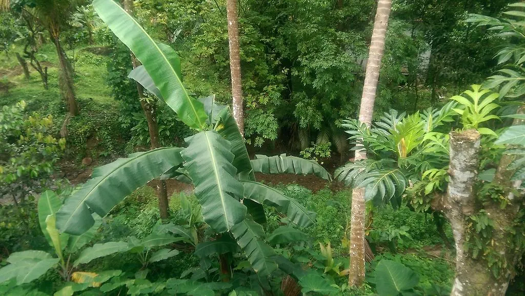 River Side House Palmiste Saint Lucia
