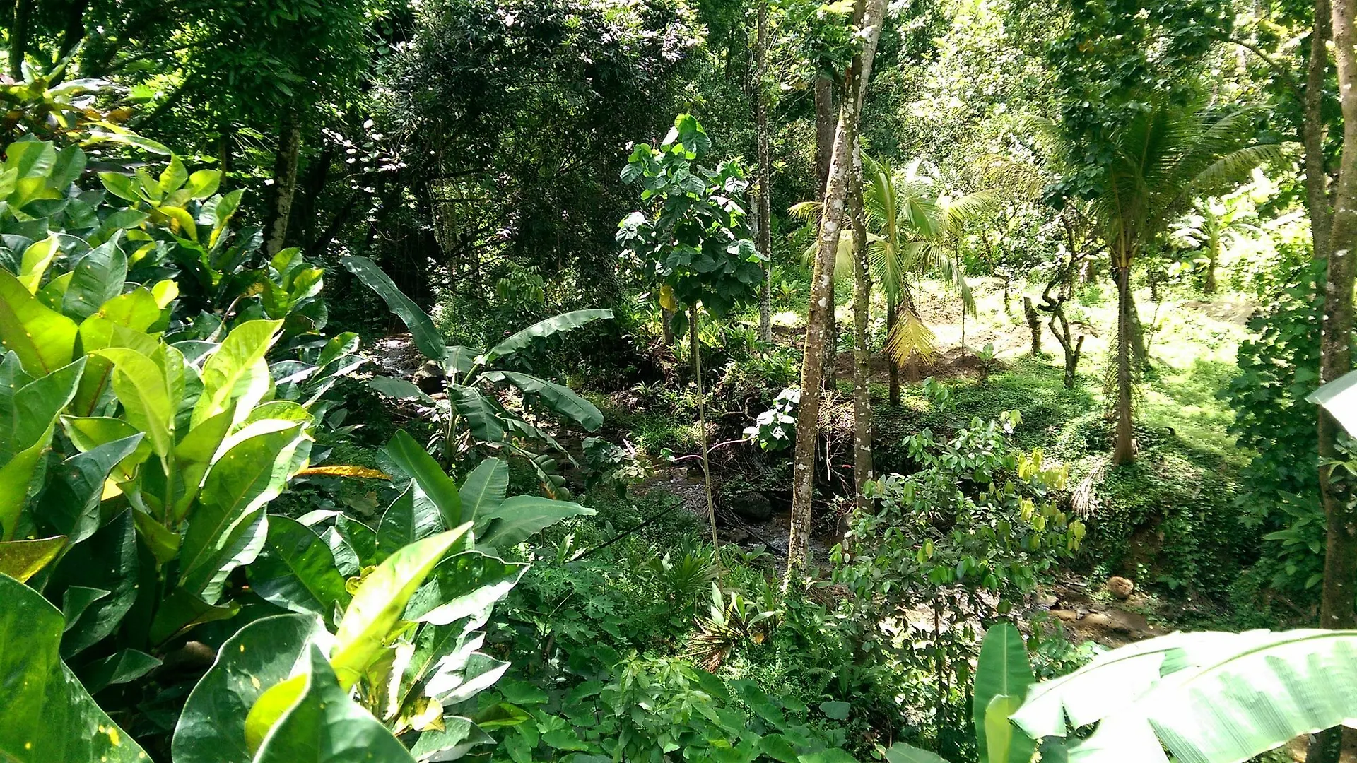 River Side House Palmiste Saint Lucia