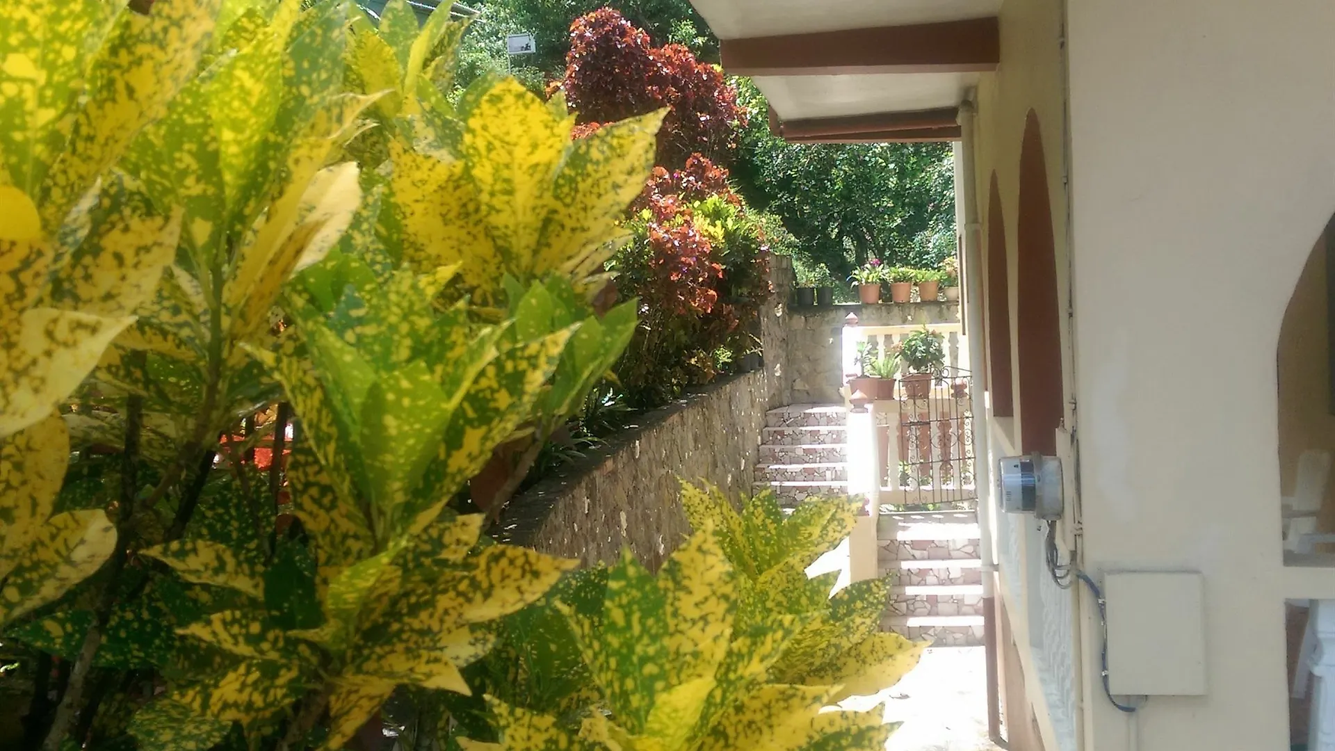 River Side House Palmiste